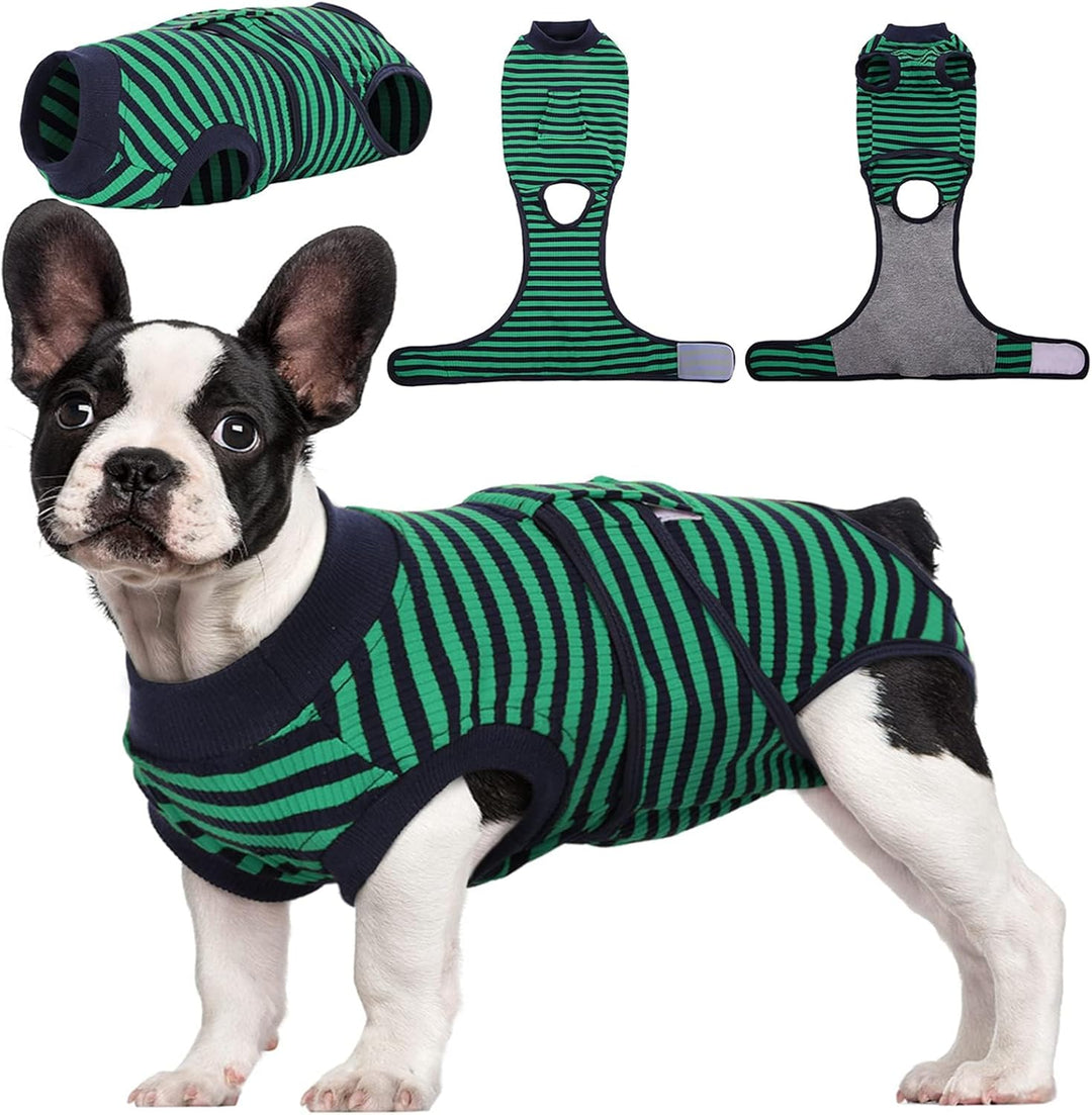 Dog wearing a pet recovery suit, comfortable & protective after surgery.