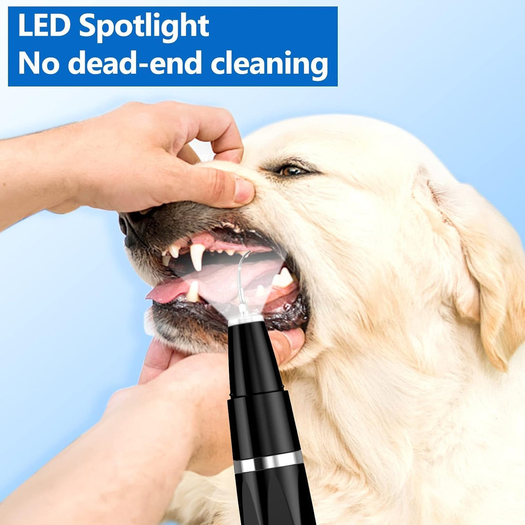 Pet dental hygiene tool: ultrasonic cleaner for dog & cat plaque & tartar removal.