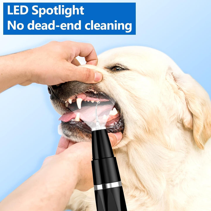 Pet dental hygiene tool: ultrasonic cleaner for dog & cat plaque & tartar removal.
