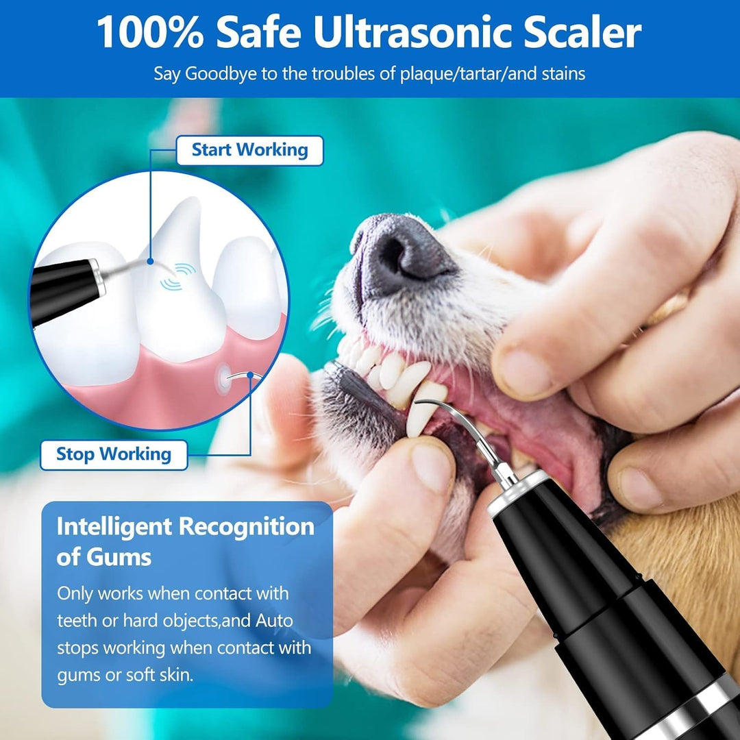 Keep pets healthy: ultrasonic tooth cleaner for superior dog & cat plaque & tartar removal.