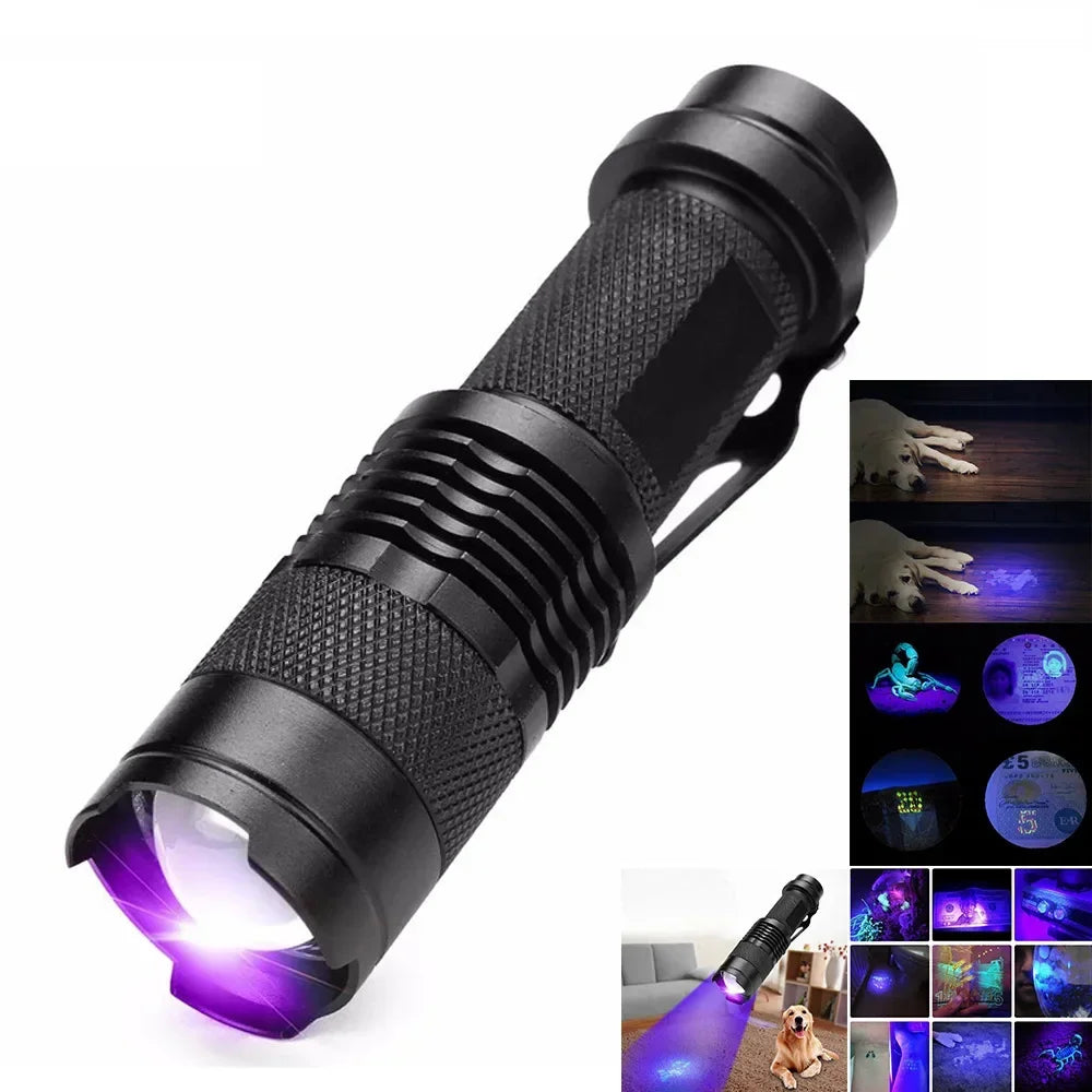 Powerful UV LED flashlight for pet urine stain detection. Essential ultraviolet inspection lamp for home cleaning.