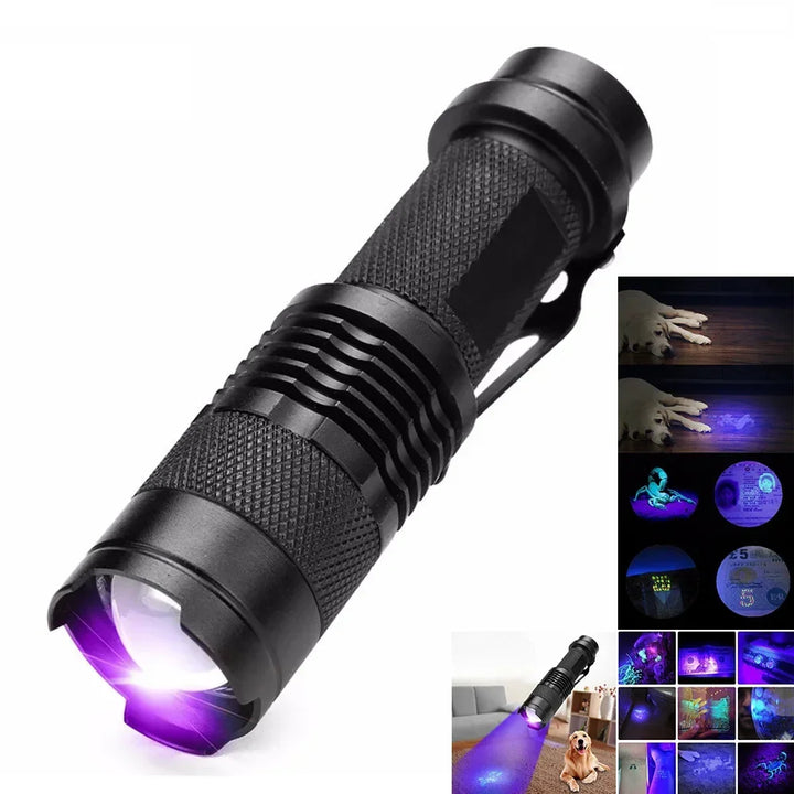 Powerful UV LED flashlight for pet urine stain detection. Essential ultraviolet inspection lamp for home cleaning.
