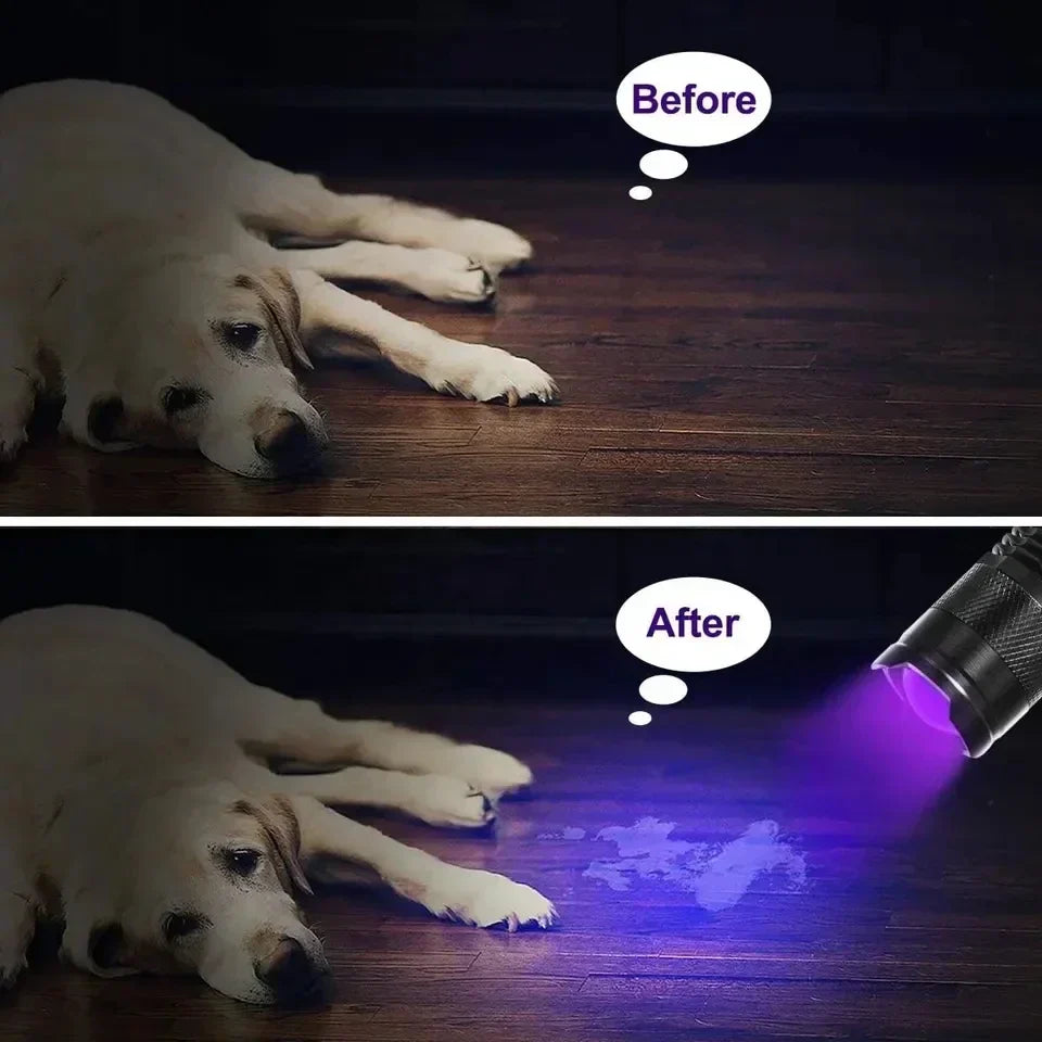 Bright LED UV flashlight for pet urine and stain detection. High-quality ultraviolet inspection lamp.