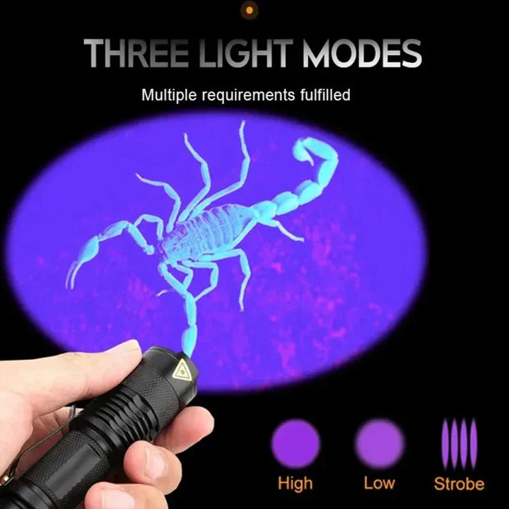 UV LED pet urine detector flashlight. Portable ultraviolet inspection lamp for stain detection & home cleaning.