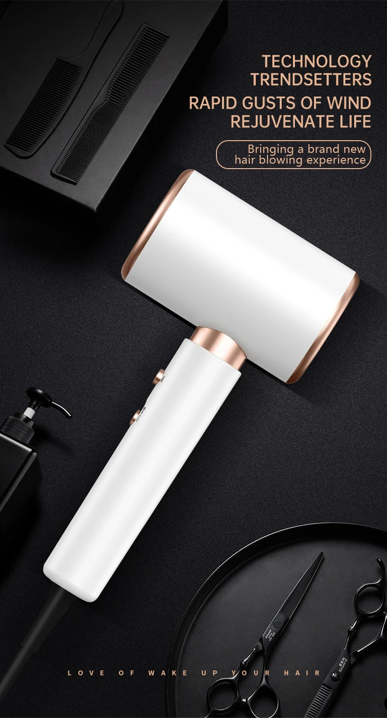 Advanced 2400W hair dryer, negative ion technology for salon-quality results, frizz control.
