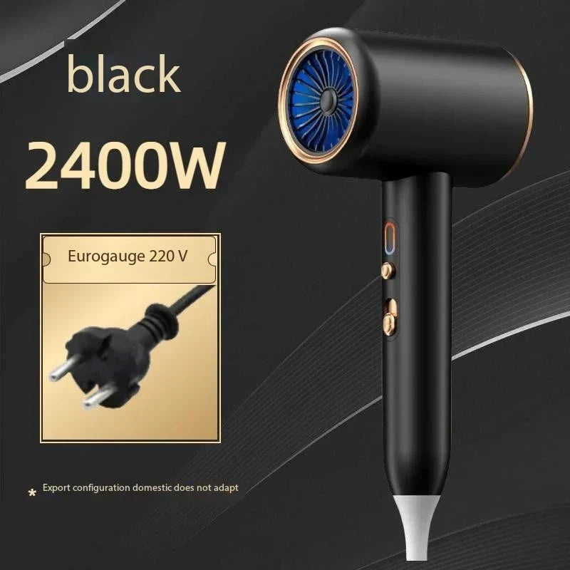 Salon 2400W hair dryer, negative ions, fast drying, frizz-free for professional women.