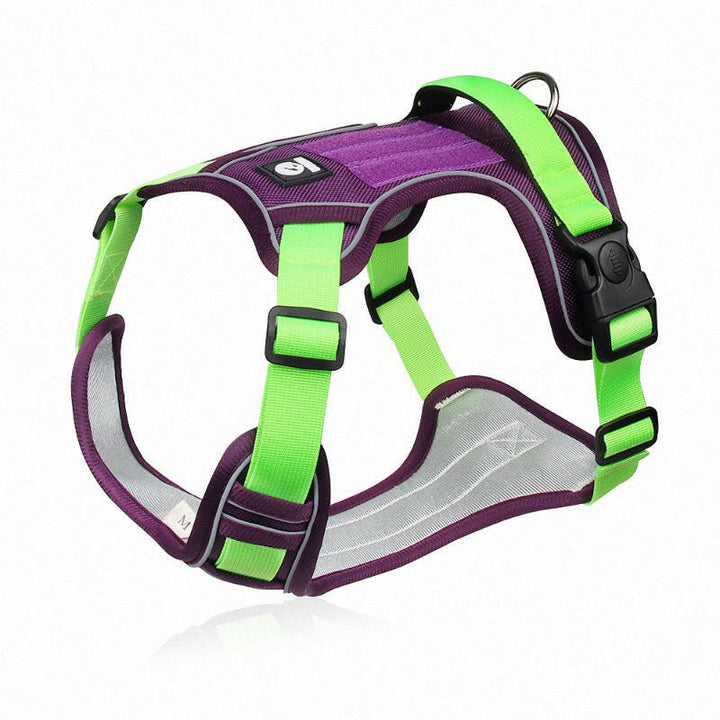 Reflective no-pull dog harness with handle, adjustable straps, and metal D-ring; visible and safe for night walks.