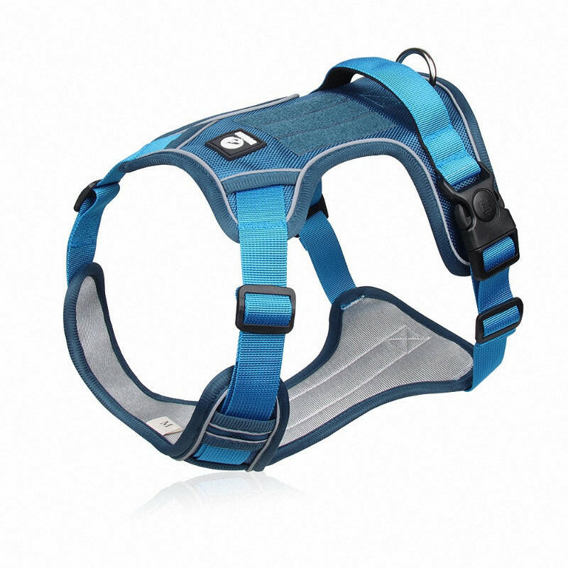 Reflective no-pull dog harness with handle, adjustable straps, and metal D-ring; visible and safe for night walks.