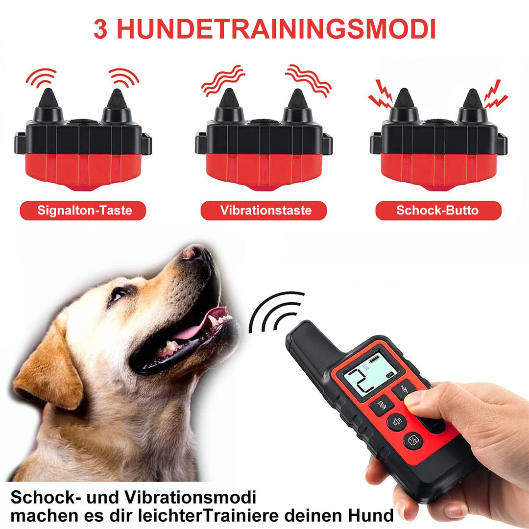 Waterproof Smart Dog Training Collar with 300m Remote