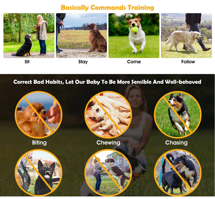 Waterproof Smart Dog Training Collar with 300m Remote