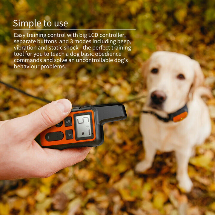 Waterproof Smart Dog Training Collar with 300m Remote