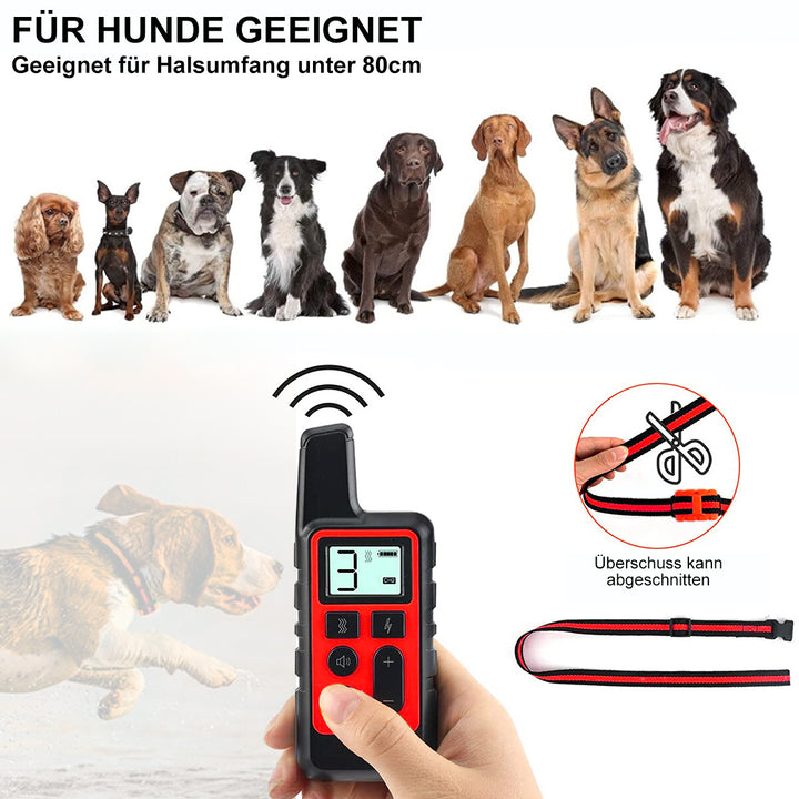 Waterproof Smart Dog Training Collar with 300m Remote
