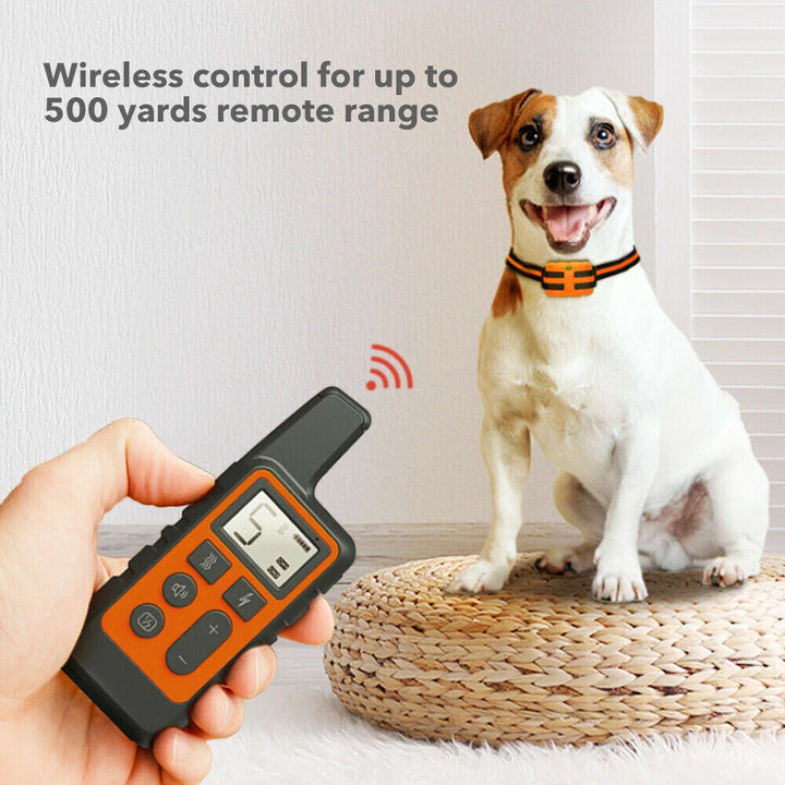 Waterproof Smart Dog Training Collar with 300m Remote
