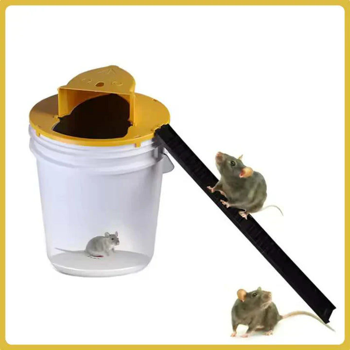 "SmartCatch hands-free mouse trap, automatic reset, child-safe, durable plastic, compact design, rodent control solution."