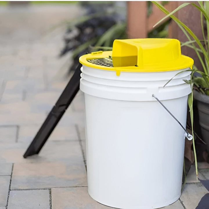 "SmartCatch hands-free mouse trap, automatic reset, child-safe, durable plastic, compact design, rodent control solution."