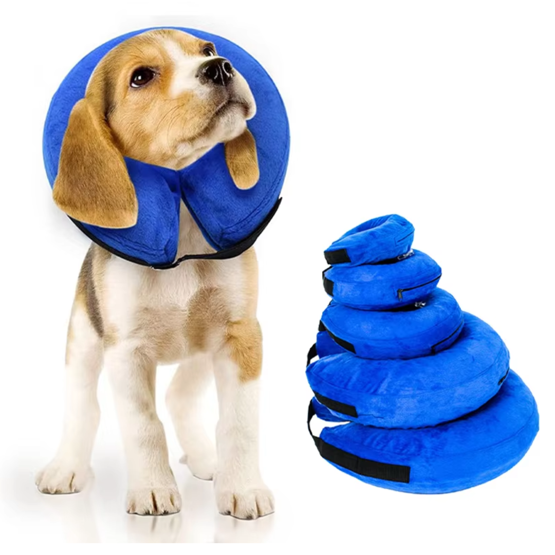 Soft inflatable recovery collar for dogs, comfy cone alternative for post-surgery healing.