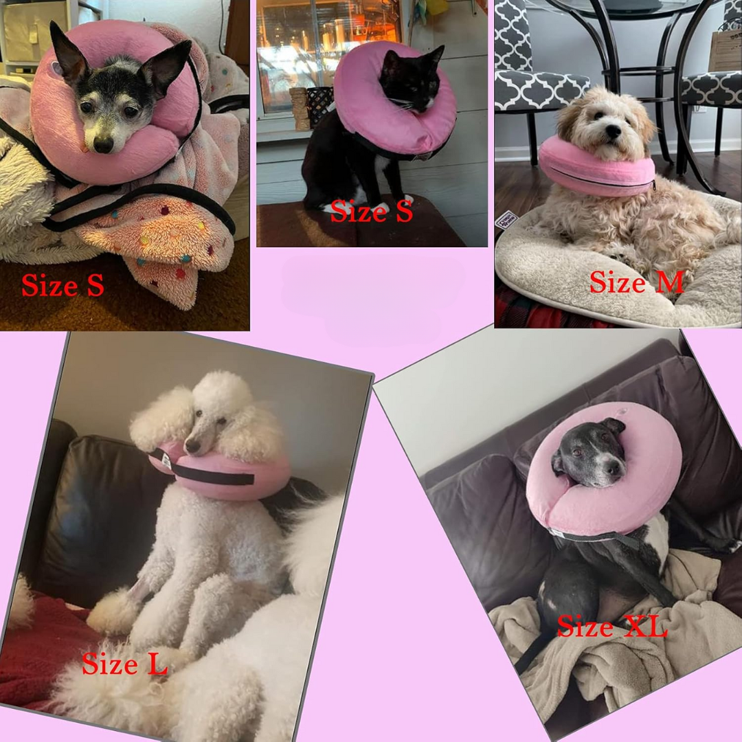 Inflatable dog collar, a much comfier cone alternative for effective post-surgery healing.