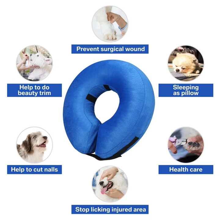 Durable inflatable dog recovery collar, multiple sizes for comfortable pet healing.