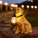Labrador