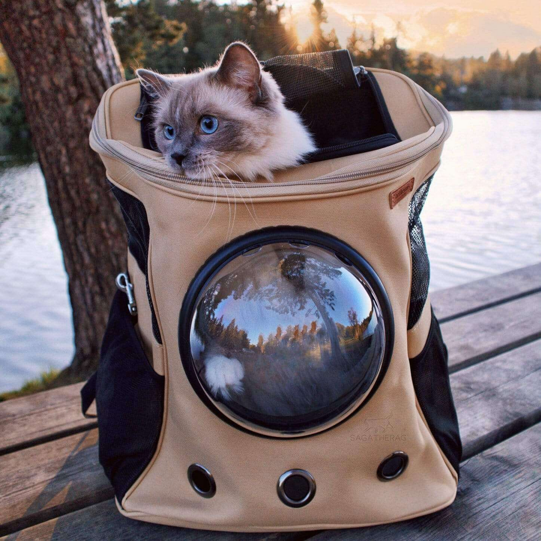 "Spacious cat backpack with bubble window, ventilation holes, and durable design for comfortable pet travel."