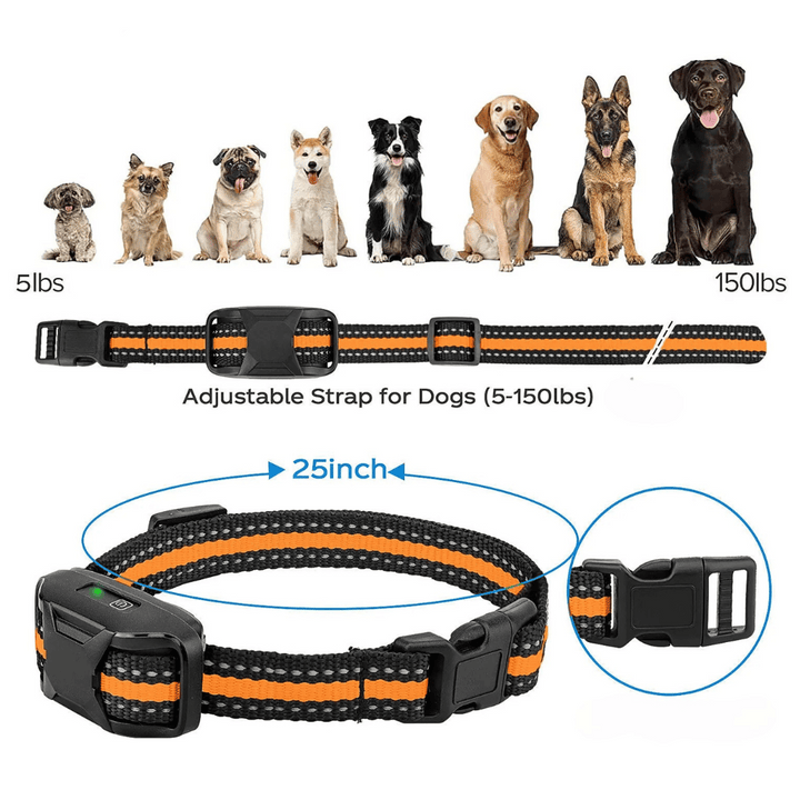 Waterproof rechargeable e-collar for dog training, black strap, remote control, fits all sizes, for outdoor use, pet supplies