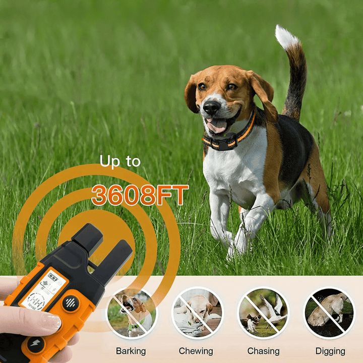 Waterproof rechargeable e-collar for dog training, black strap, remote control, fits all sizes, for outdoor use, pet supplies