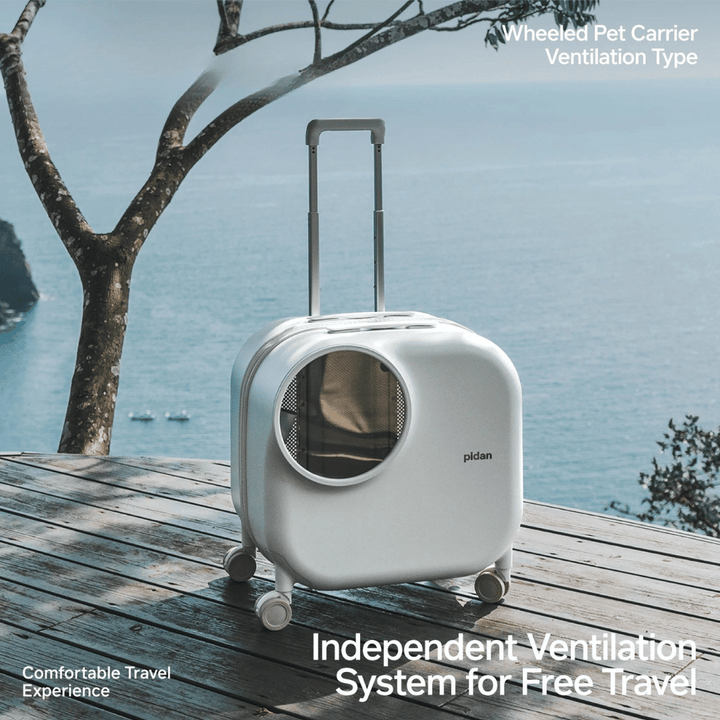 "White futuristic cat travel carrier with bubble window, ventilation, LED lighting, shock-absorbing base, and portable design